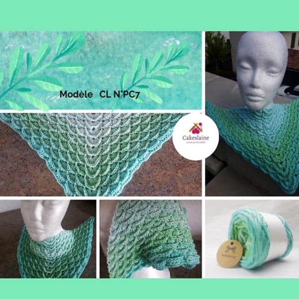 Produit Cake Pelote de laine ref: CL N°C55