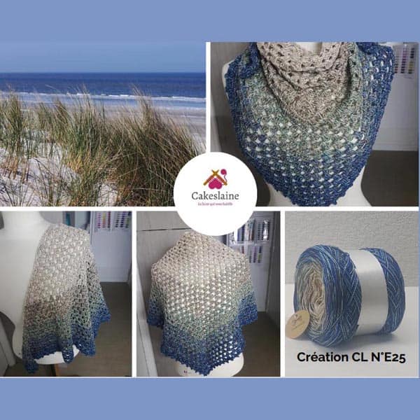 Produit Cake Pelote de laine ref: CL N°E25